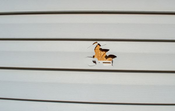 Siding Hole Patching in Danbury